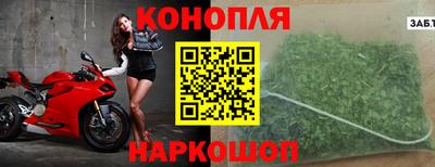 шишки Конаково
