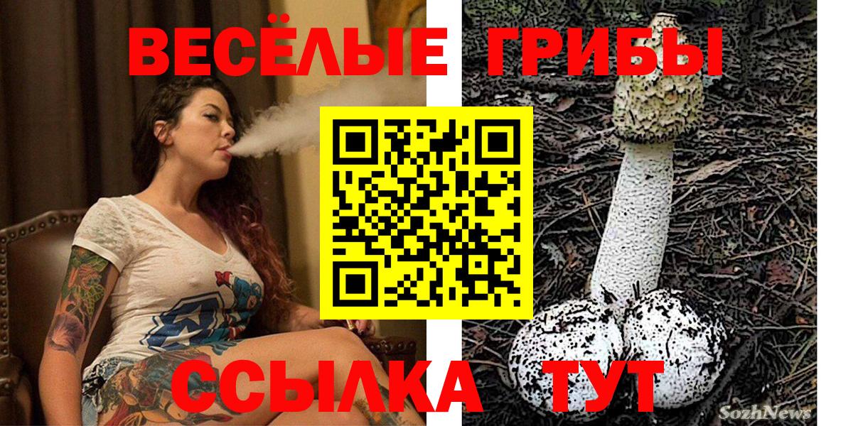 Галлюциногенные грибы Psilocybine cubensis  Вход с VPN  Галлюциногенные грибы Magic Shrooms  Воскресенск 